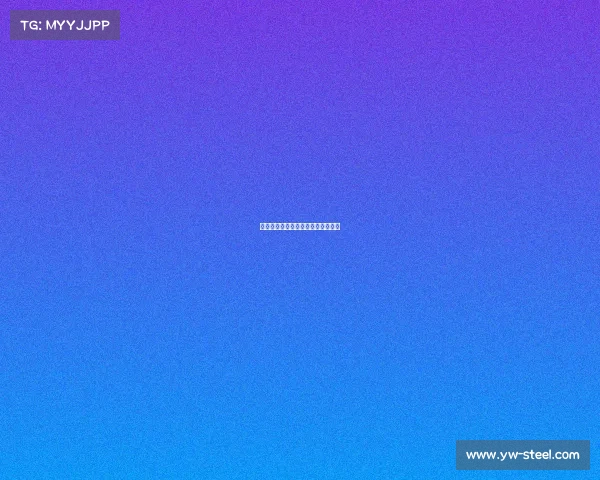 国际赛事经理、赛事总监是什么级别